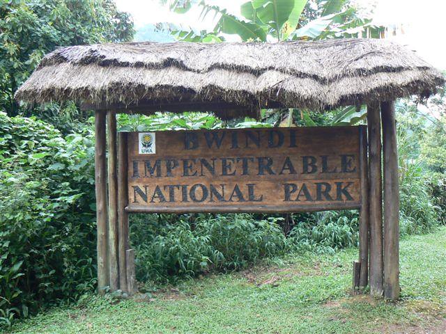 Bwindi Impenetrable National Park