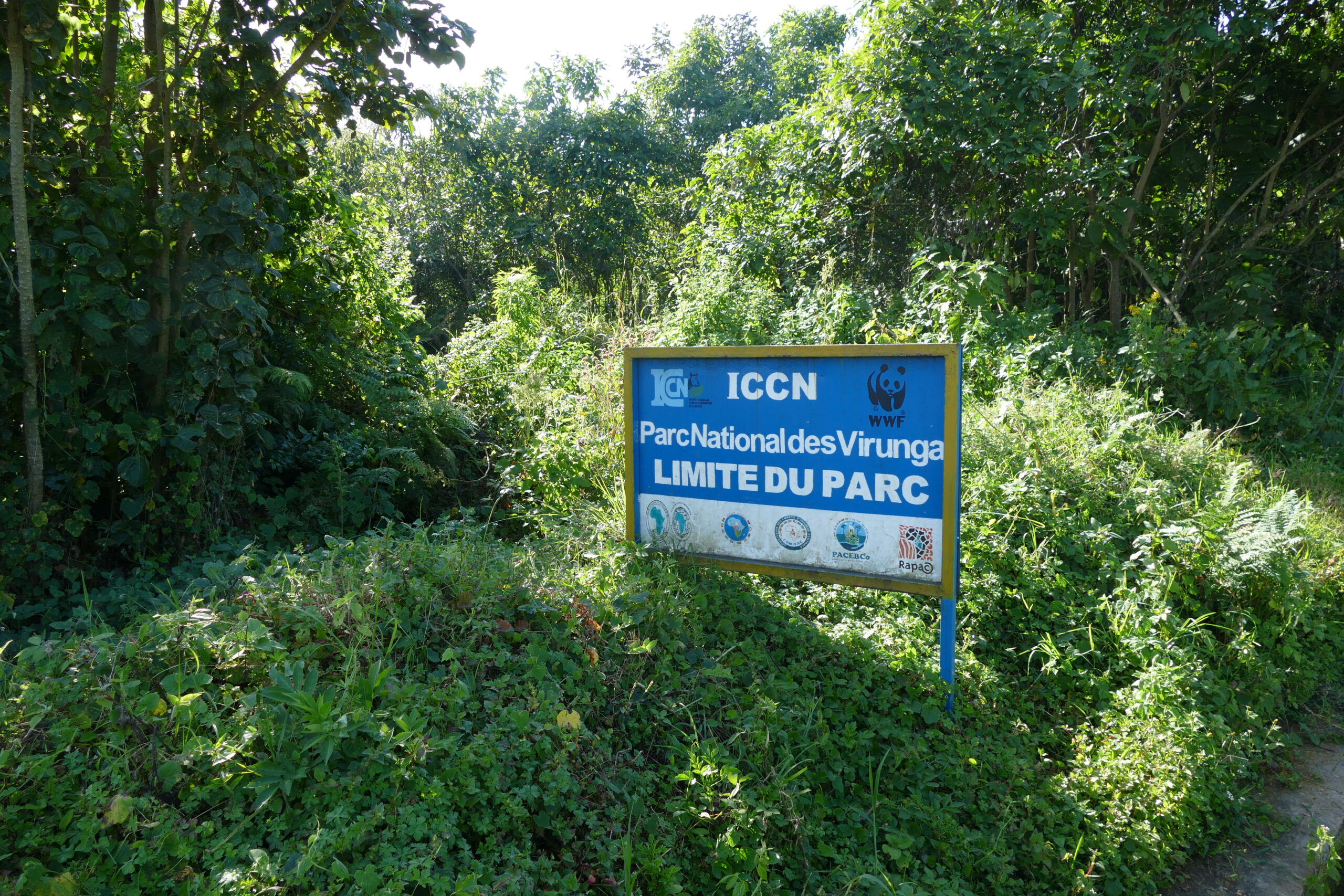 Gorilla trekking in Virunga